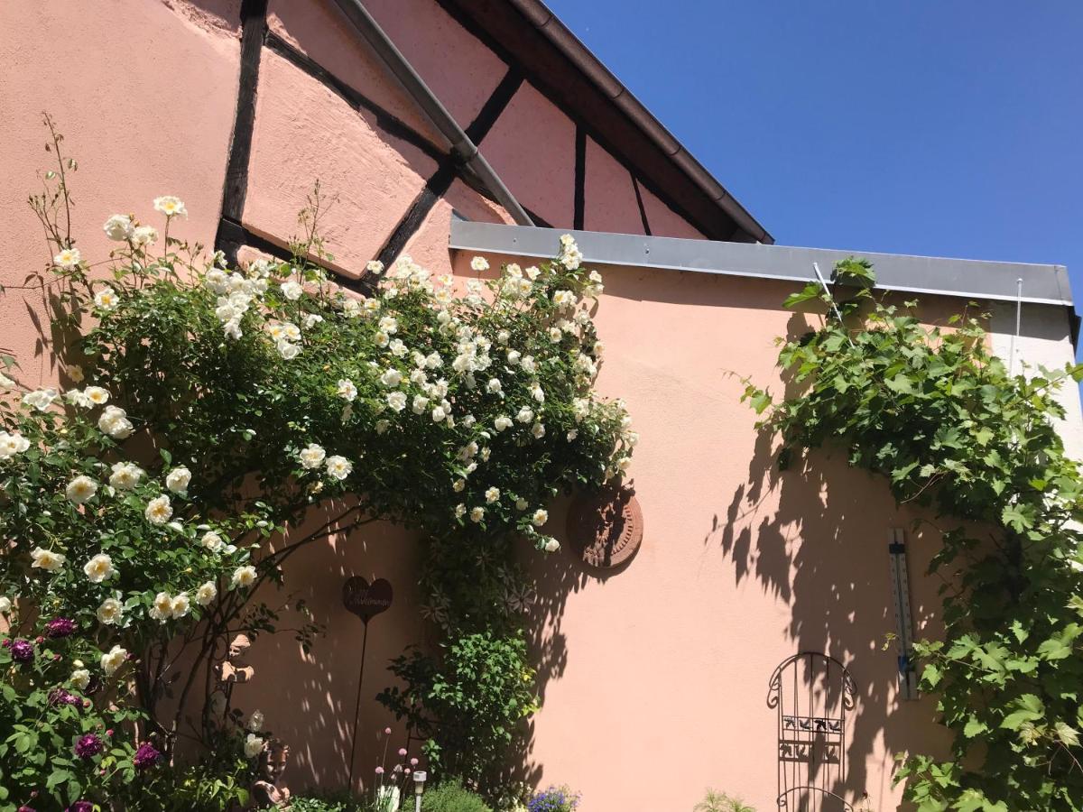 Haus Am Markt Königstein in der Oberpfalz Esterno foto